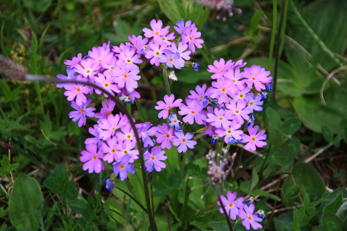 2015_06_11_001748_Bildgr��e �ndern