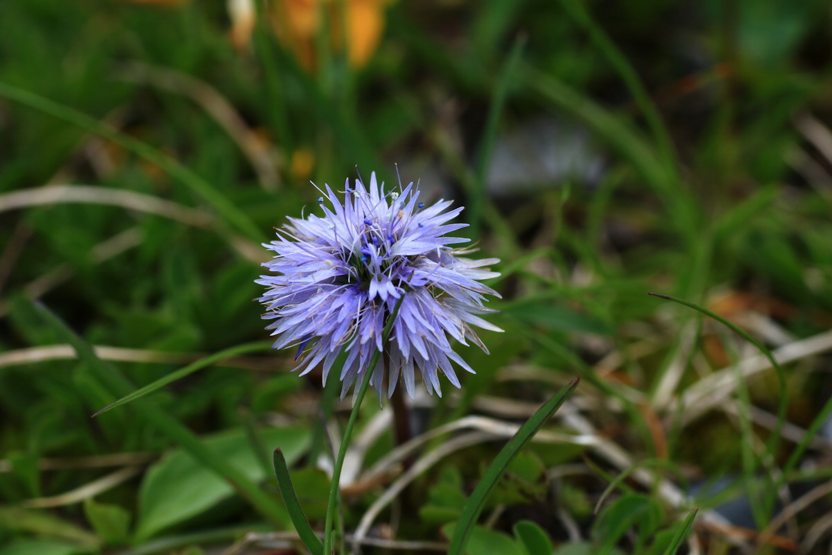 2015_06_11_001751_Bildgr��e �ndern