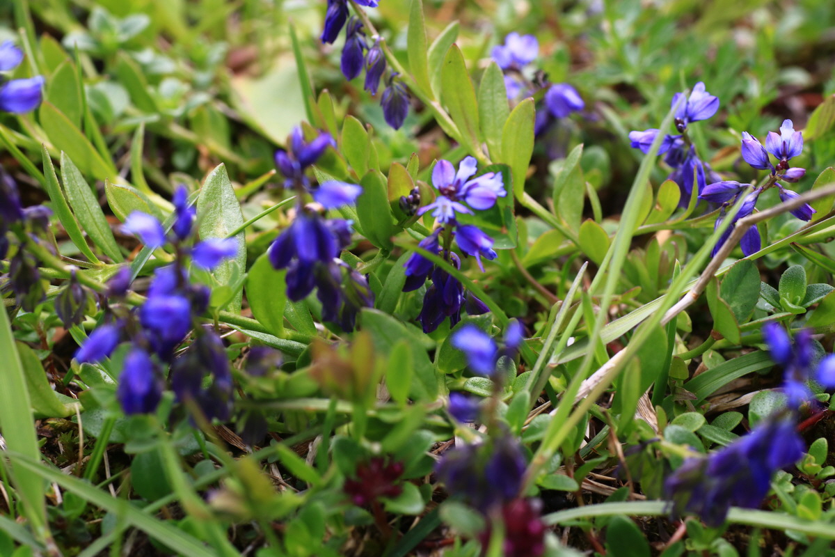 2015_06_11_001756_Bildgr��e �ndern