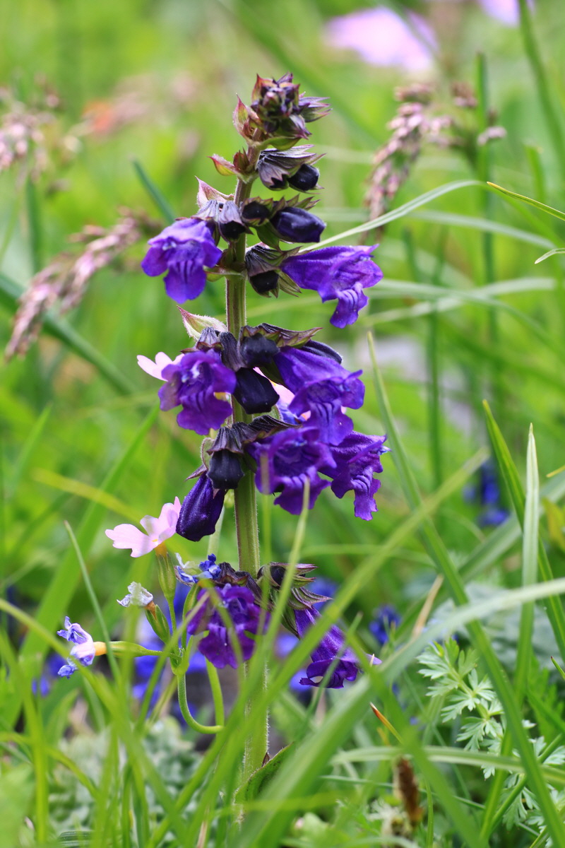 2015_06_11_001759_Bildgr��e �ndern