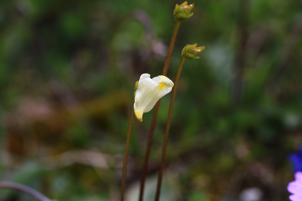 2015_06_11_001761_Bildgr��e �ndern