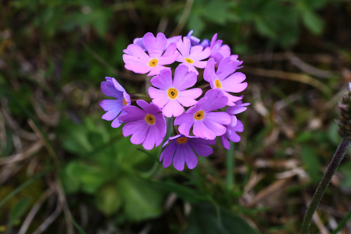 2015_06_11_001764_Bildgr��e �ndern