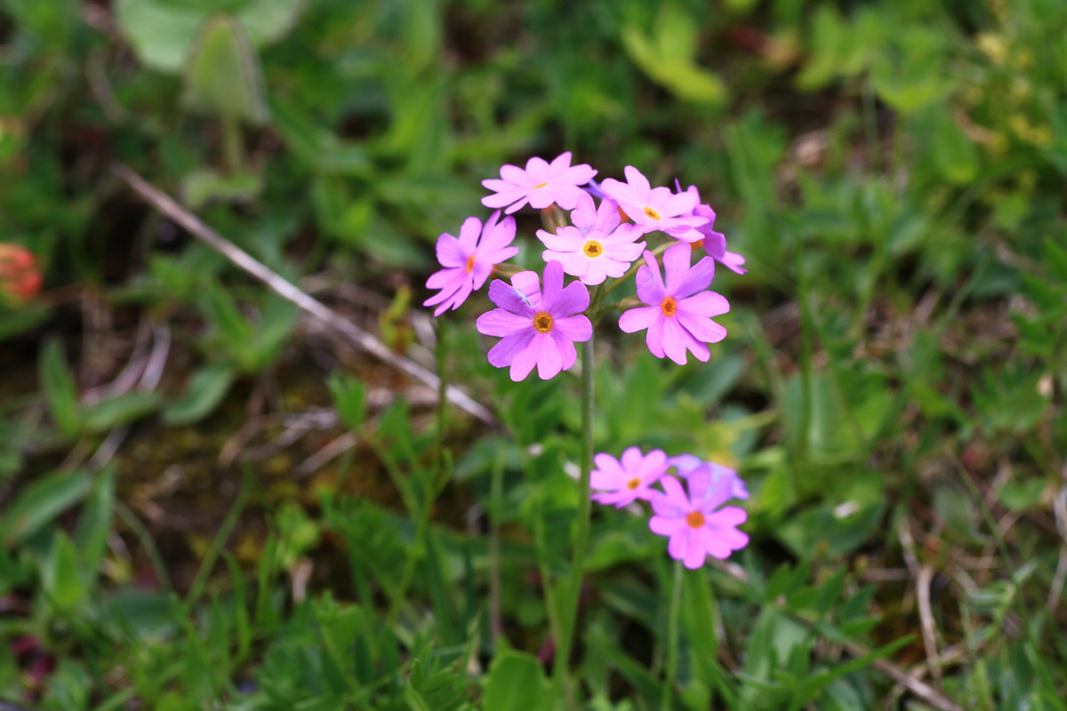 2015_06_11_001768_Bildgr��e �ndern