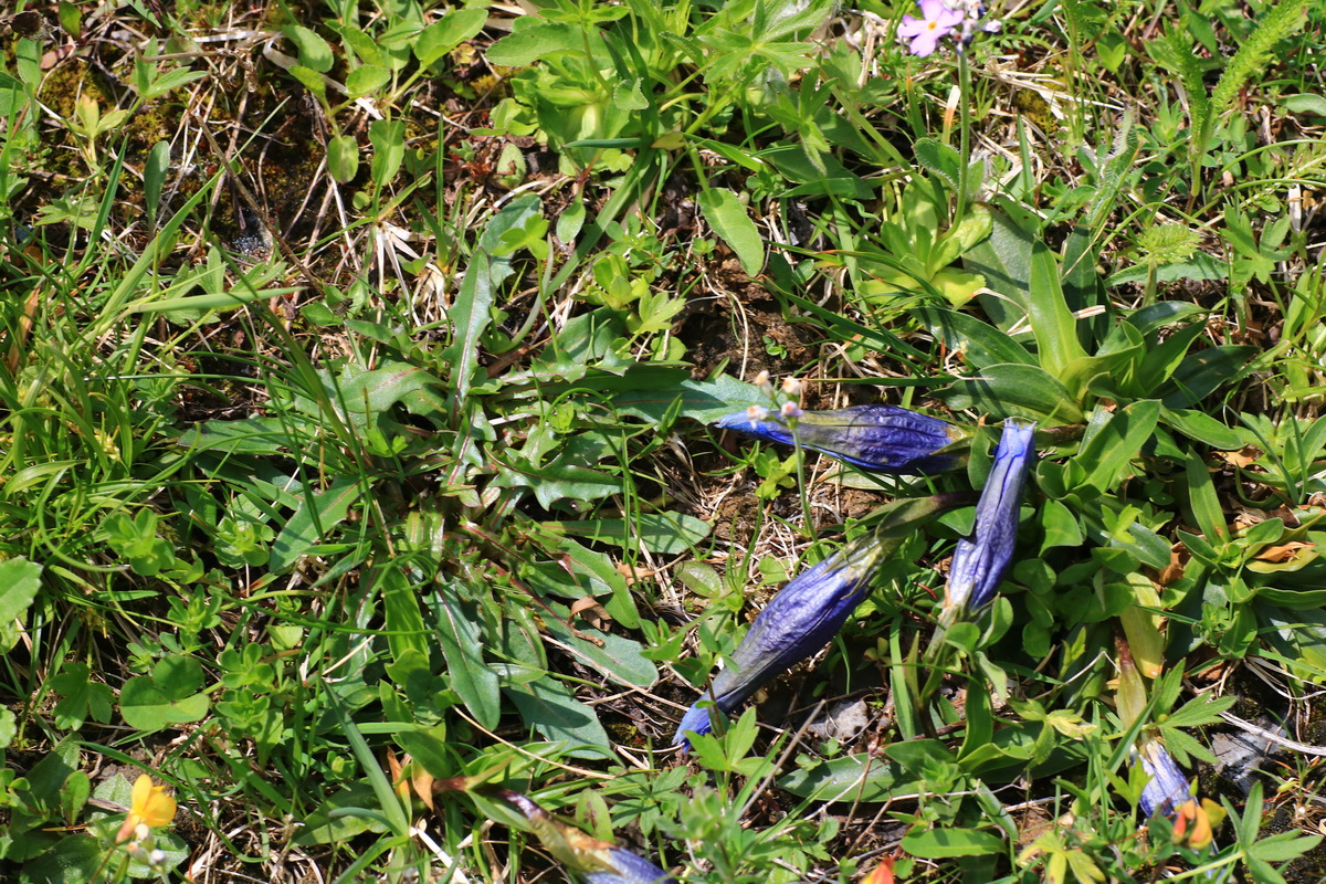 2015_06_11_001772_Bildgr��e �ndern