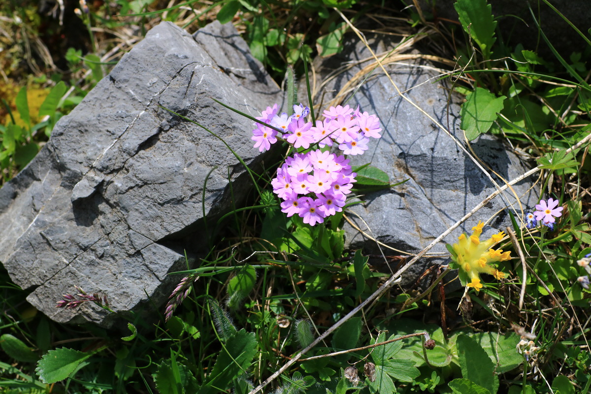 2015_06_11_001773_Bildgr��e �ndern