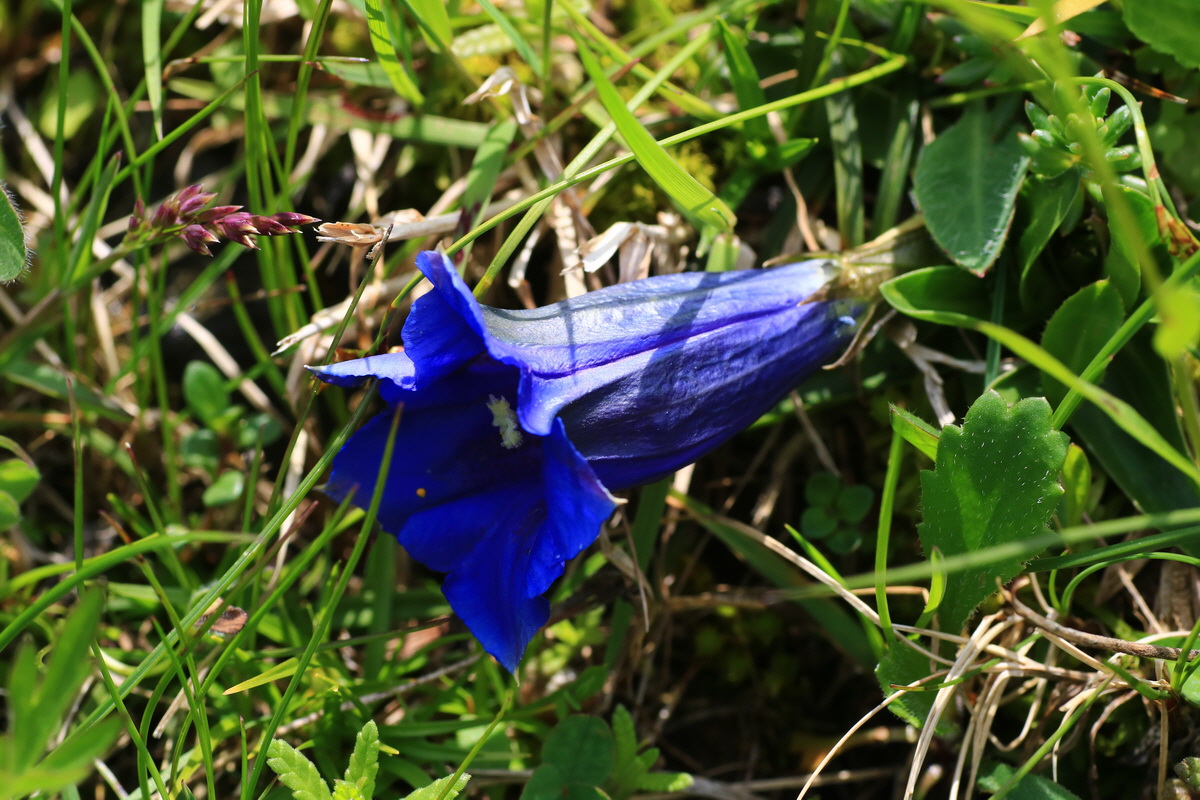 2015_06_11_001778_Bildgr��e �ndern