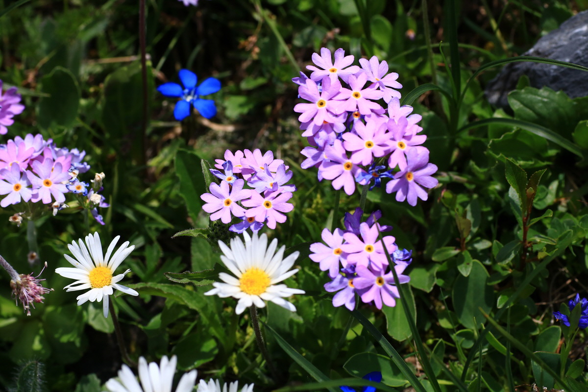 2015_06_11_001781_Bildgr��e �ndern