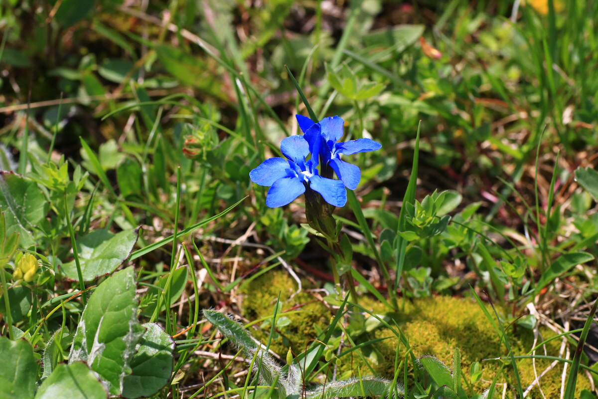 2015_06_11_001784_Bildgr��e �ndern