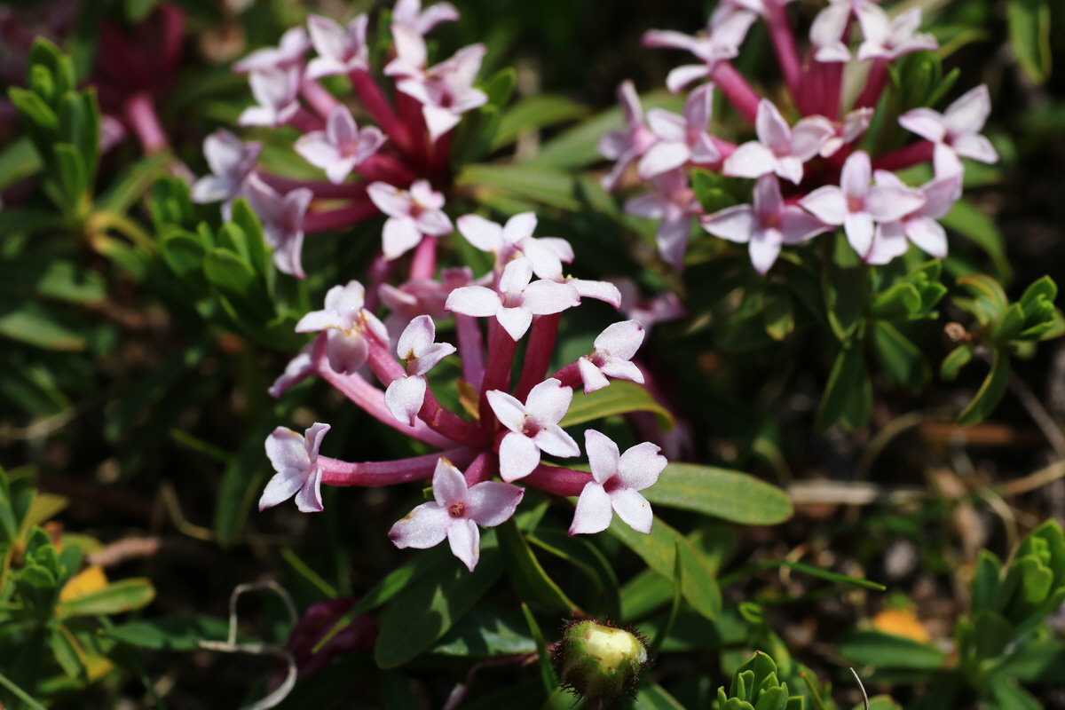 2015_06_11_001786_Bildgr��e �ndern