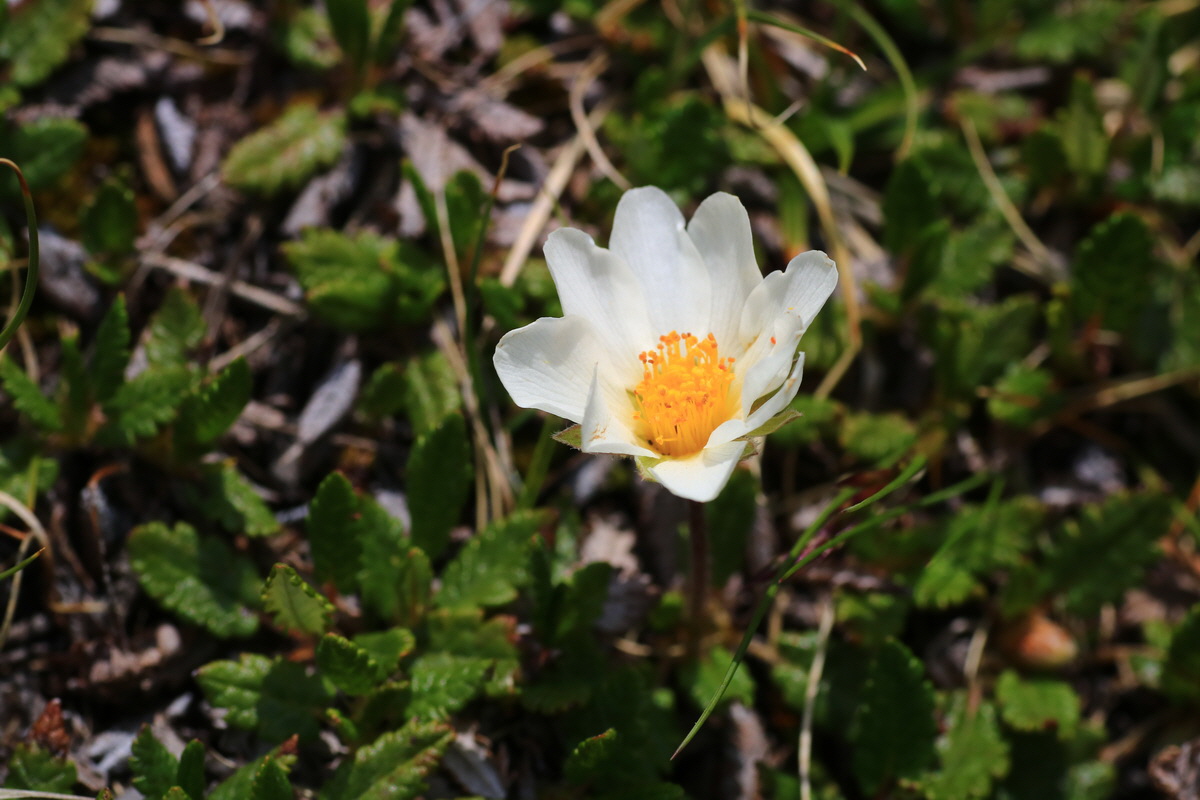 2015_06_11_001790_Bildgr��e �ndern