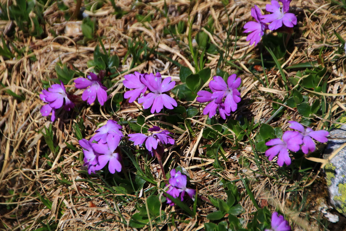 2015_06_11_001806_Bildgr��e �ndern