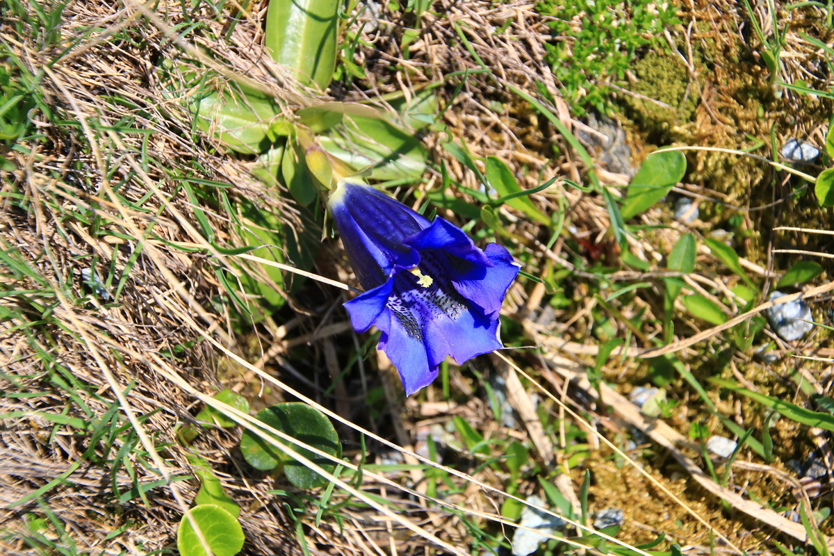 2015_06_11_001808_Bildgr��e �ndern