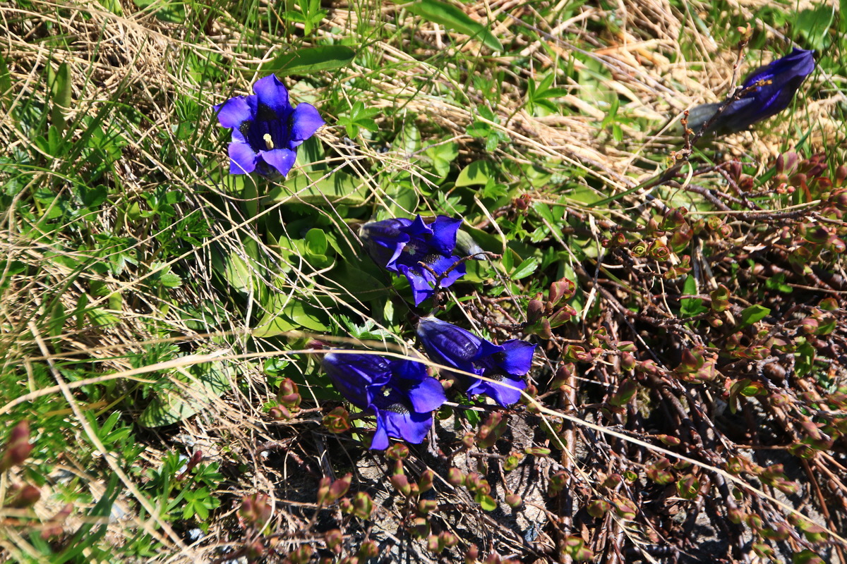 2015_06_11_001811_Bildgr��e �ndern