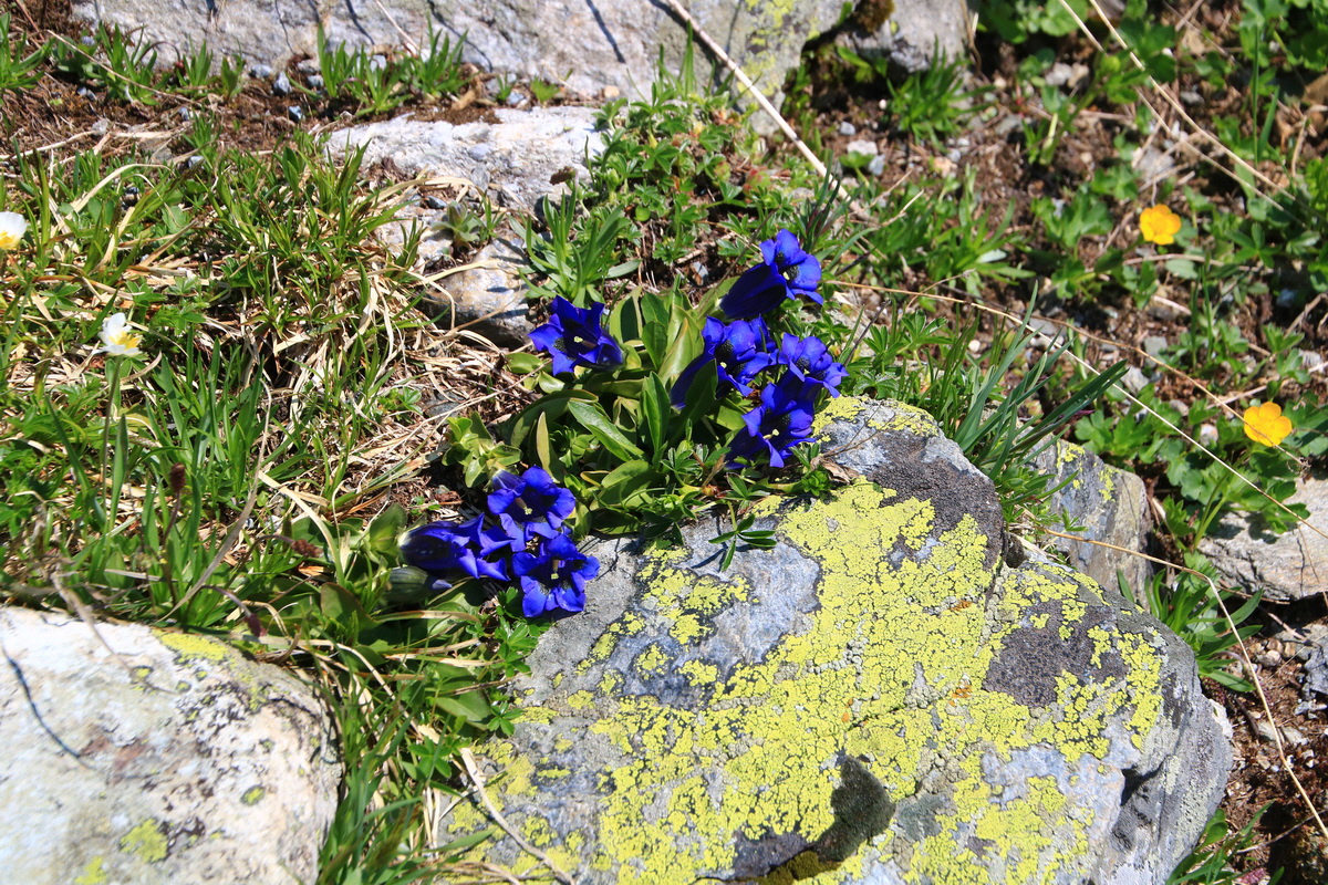 2015_06_11_001814_Bildgr��e �ndern