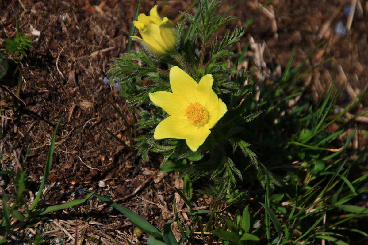 2015_06_11_001824_Bildgr��e �ndern