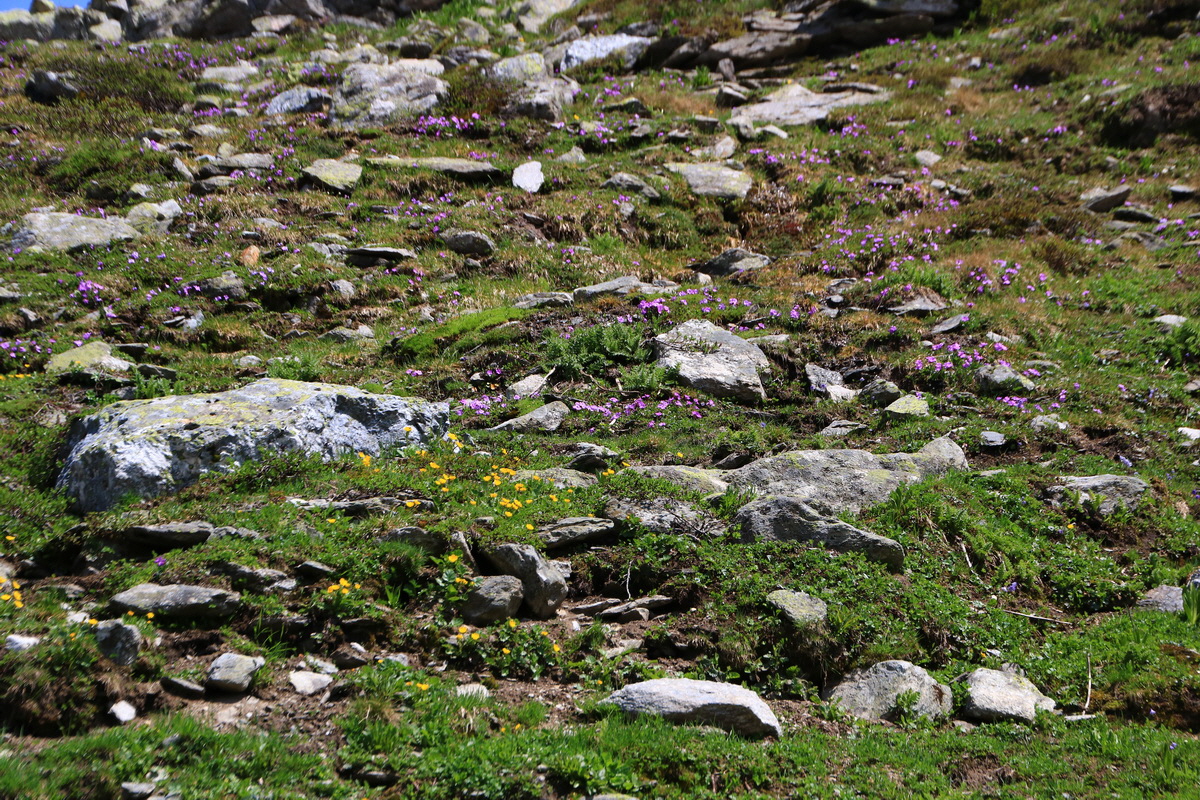 2015_06_11_001828_Bildgr��e �ndern