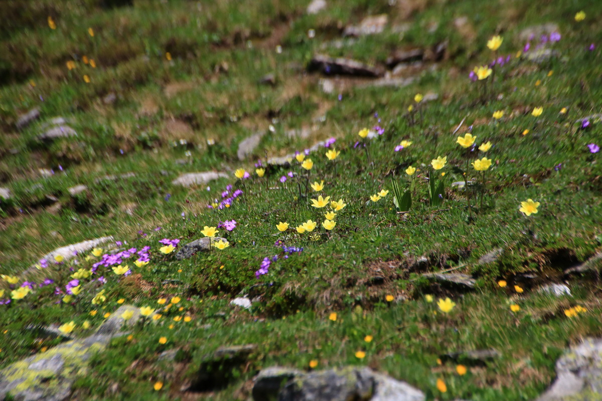 2015_06_11_001830_Bildgr��e �ndern