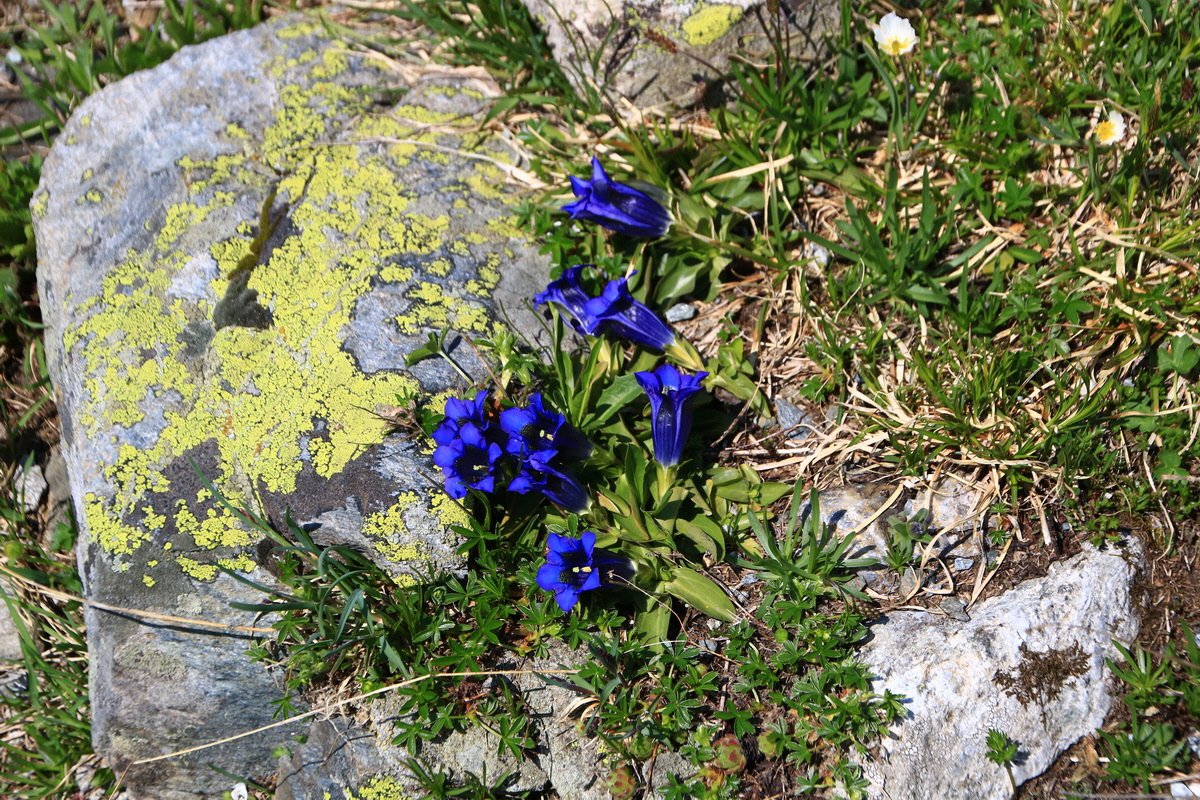 2015_06_11_001833_Bildgr��e �ndern