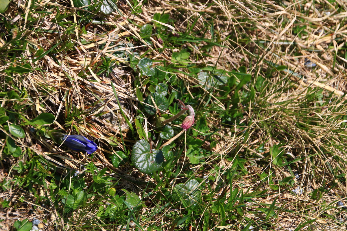 2015_06_11_001836_Bildgr��e �ndern