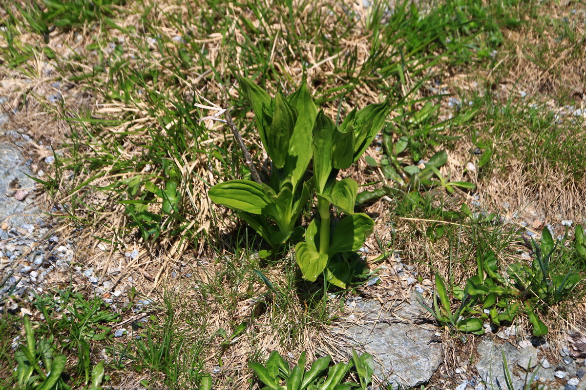 2015_06_11_001837_Bildgr��e �ndern