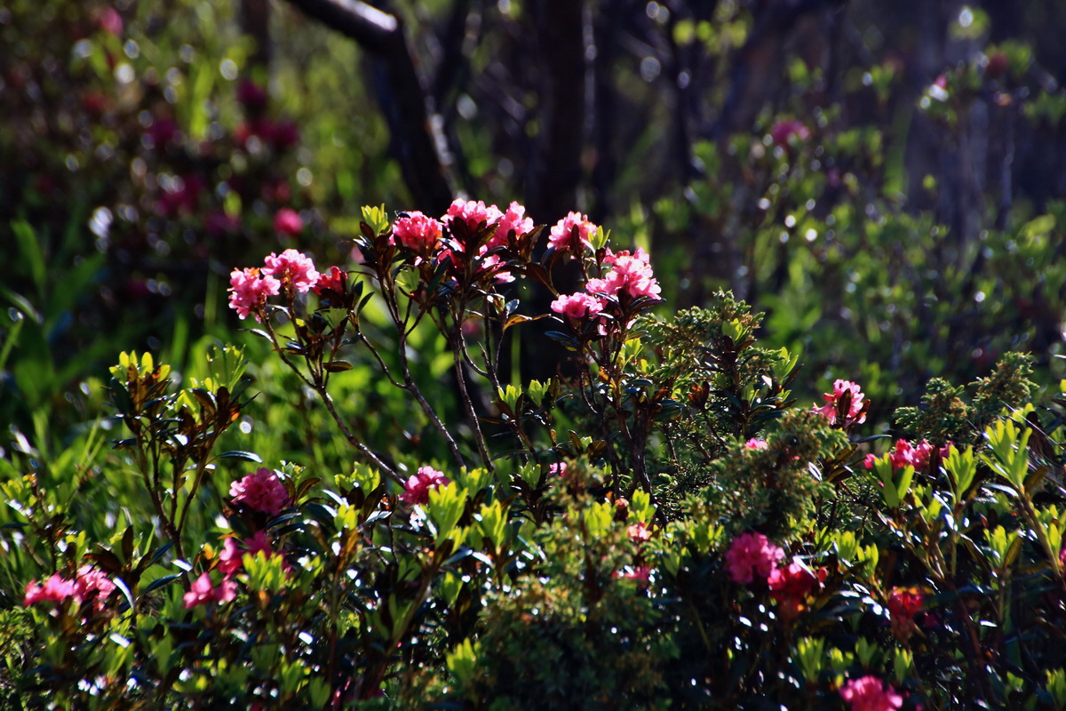 2015_06_12_001944p_Bildgr��e �ndern