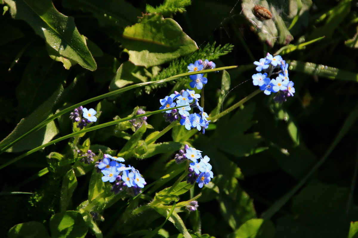 2015_06_12_001947p_Bildgr��e �ndern