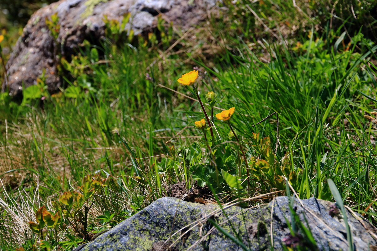 2015_06_12_001984p_Bildgr��e �ndern