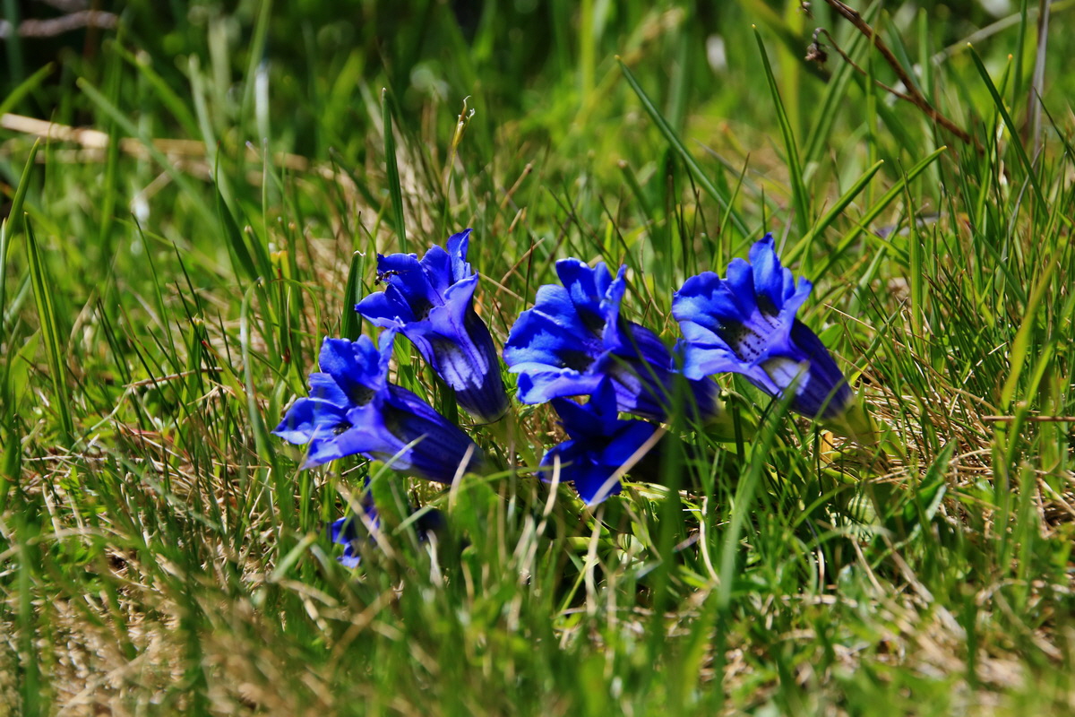 2015_06_12_001986p_Bildgr��e �ndern