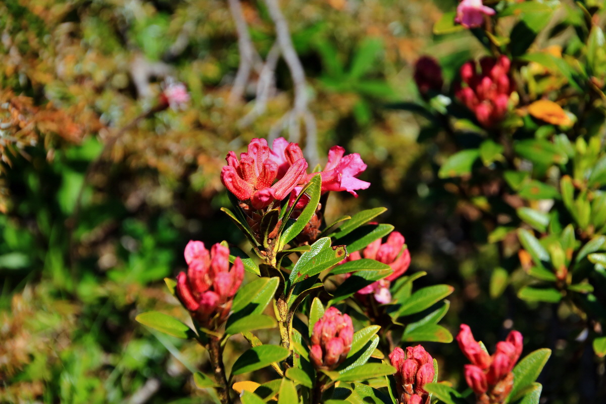 2015_06_12_001993p_Bildgr��e �ndern