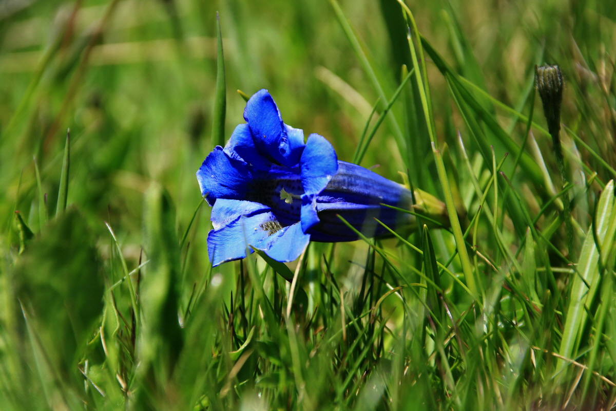 2015_06_12_001995p_Bildgr��e �ndern