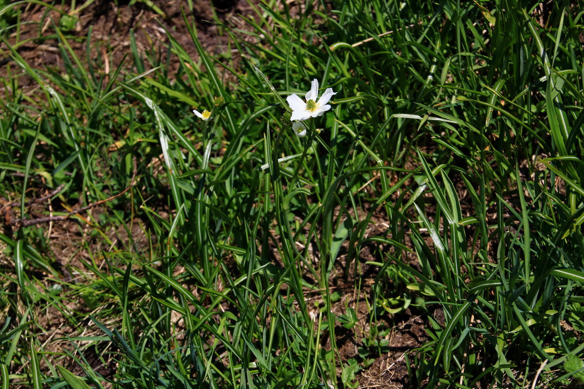 2015_06_12_001997p_Bildgr��e �ndern