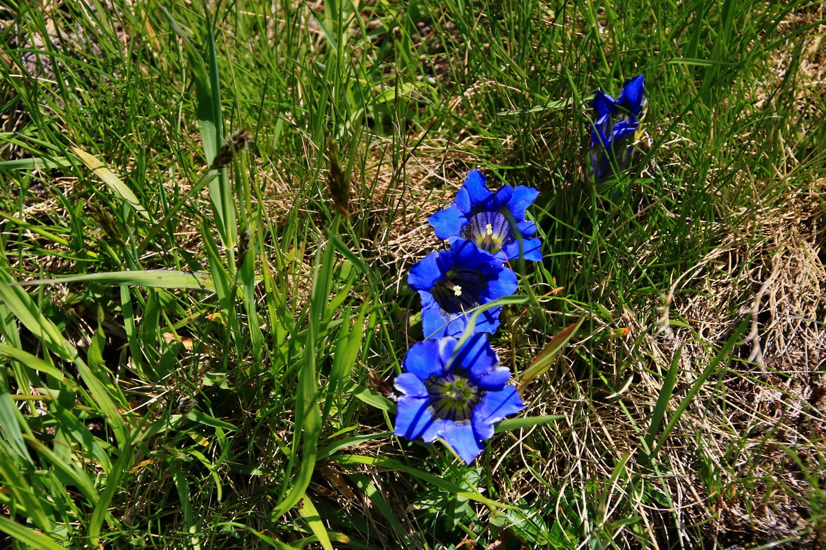 2015_06_12_002000p_Bildgr��e �ndern