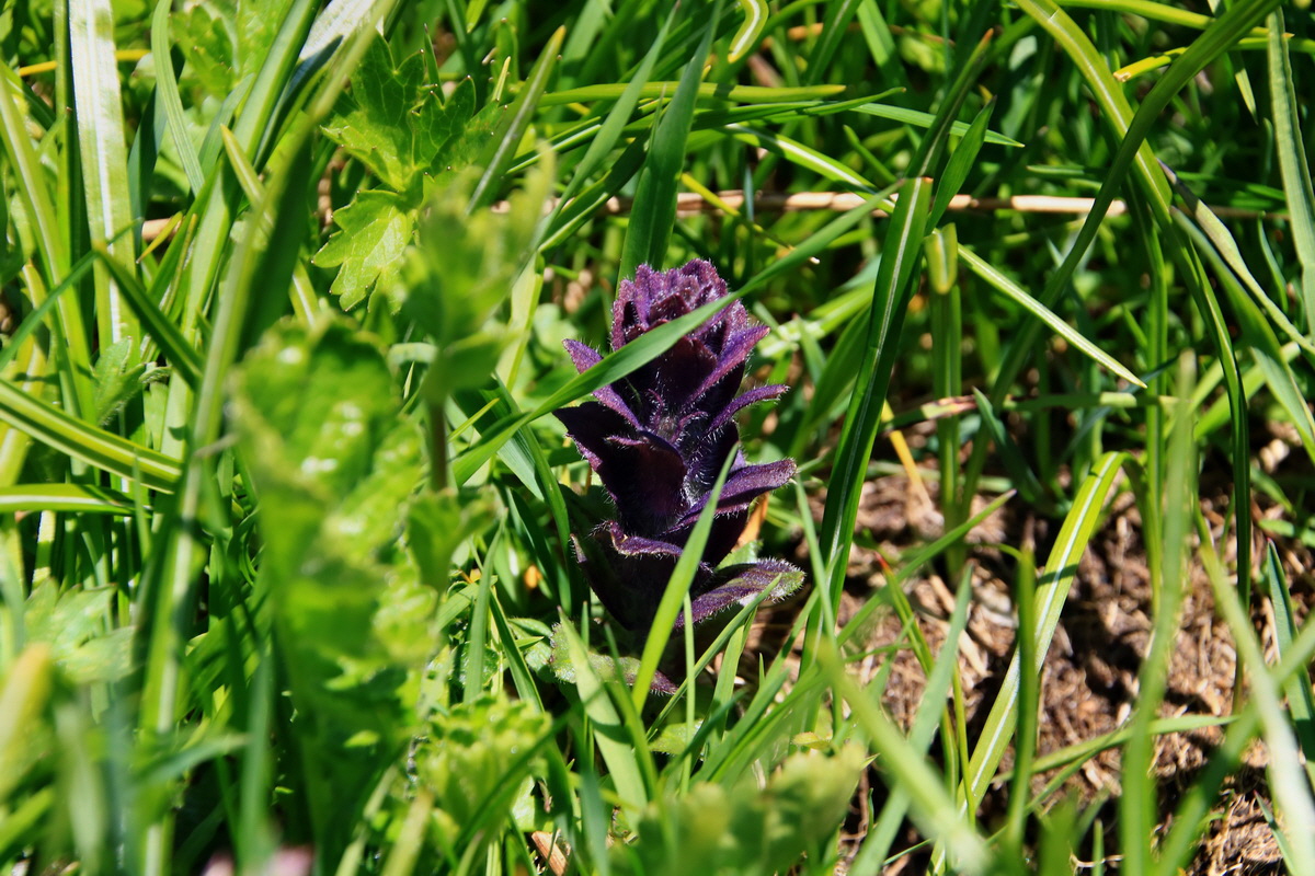 2015_06_12_002005p_Bildgr��e �ndern