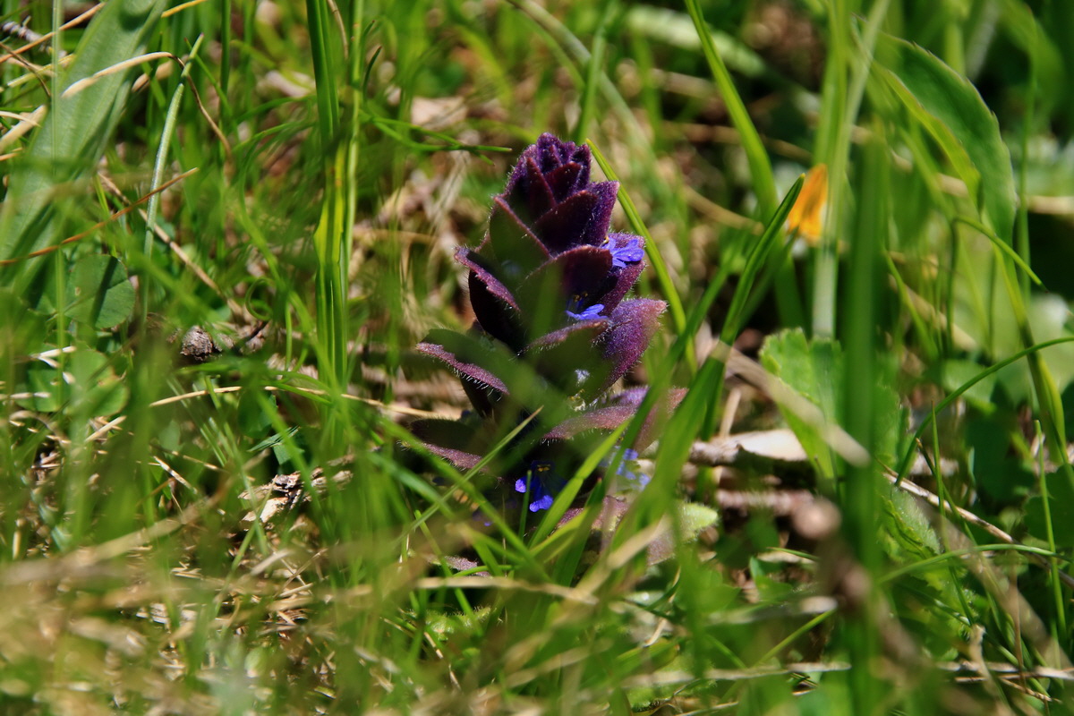 2015_06_12_002007p_Bildgr��e �ndern