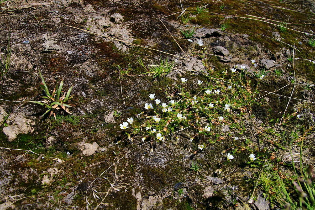 2015_06_12_002011p_Bildgr��e �ndern