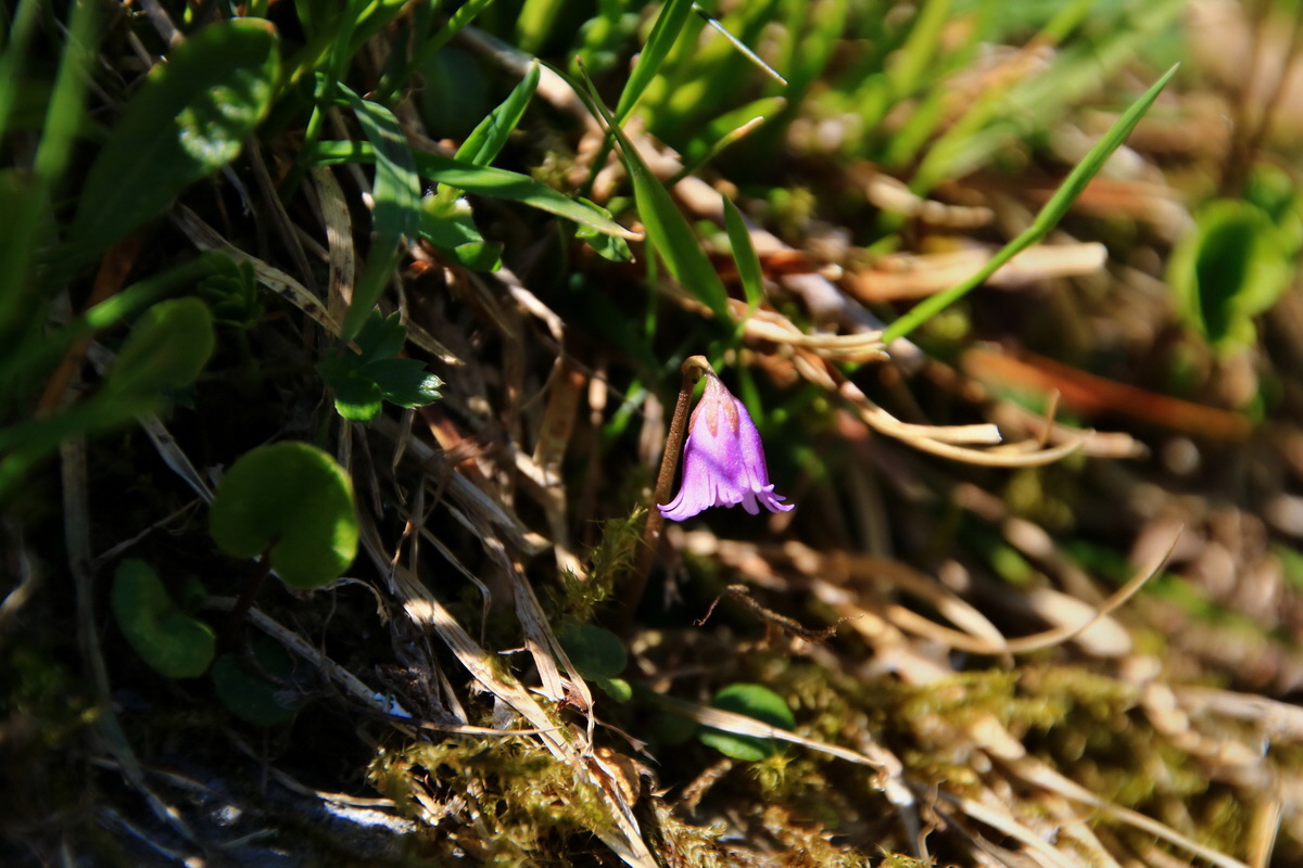 2015_06_12_002020p_Bildgr��e �ndern