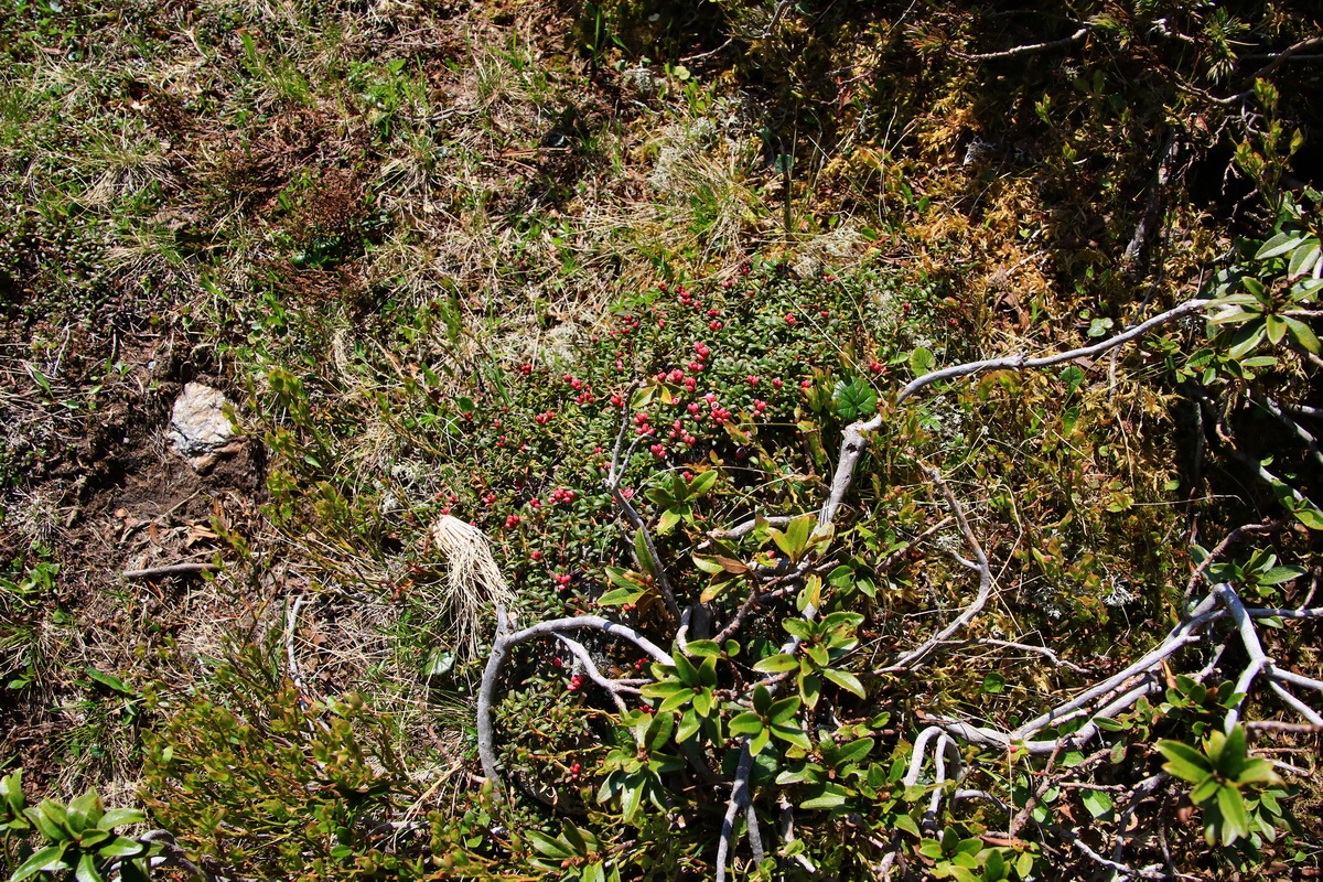 2015_06_12_002029p_Bildgr��e �ndern