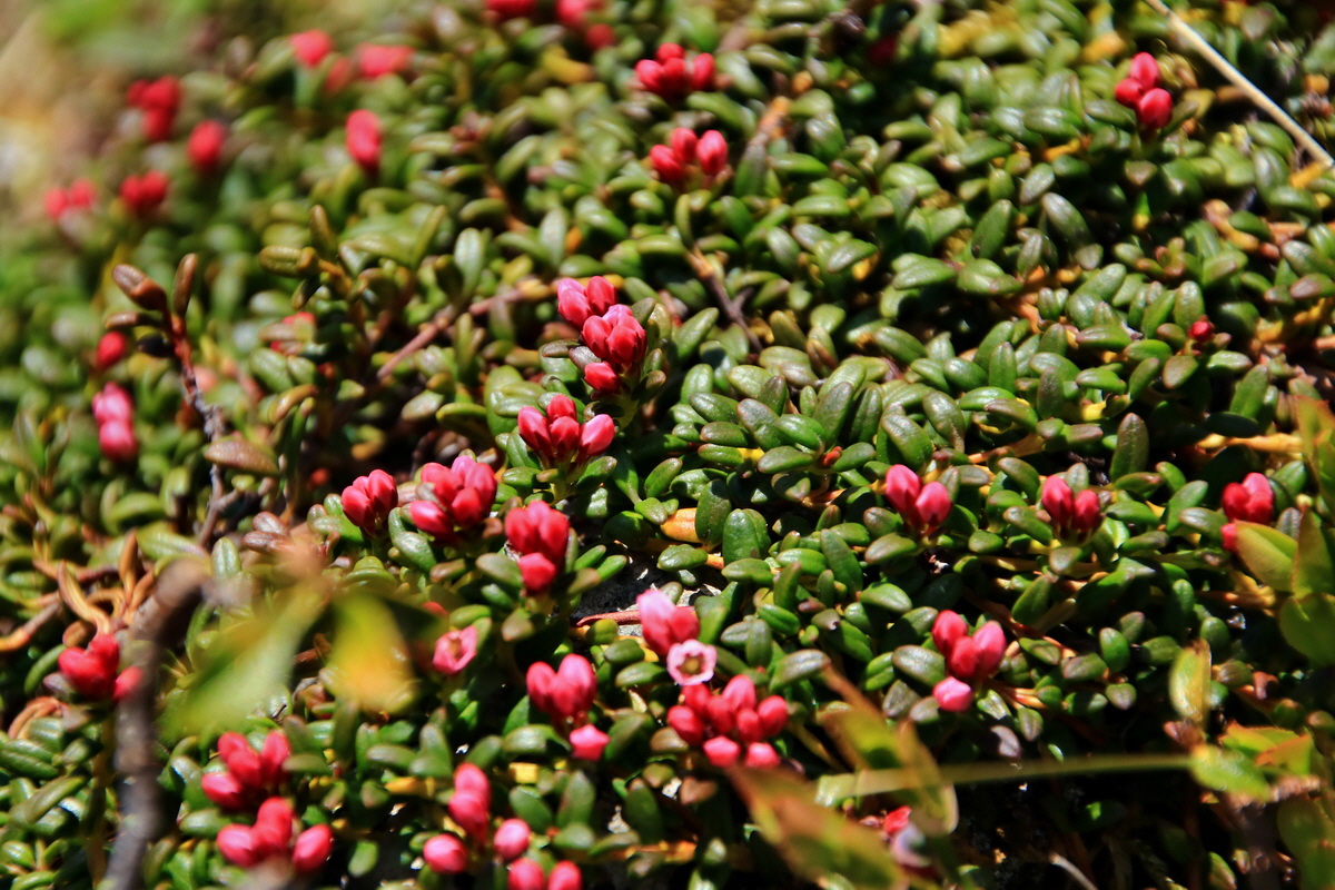 2015_06_12_002033p_Bildgr��e �ndern