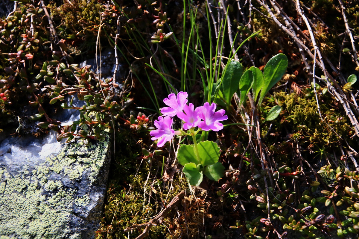 2015_06_12_002040p_Bildgr��e �ndern