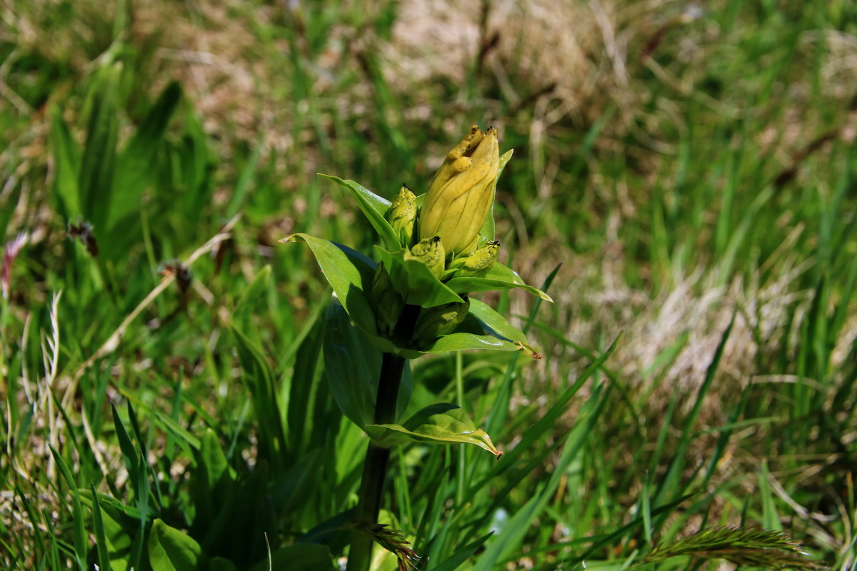 2015_06_12_002055p_Bildgr��e �ndern