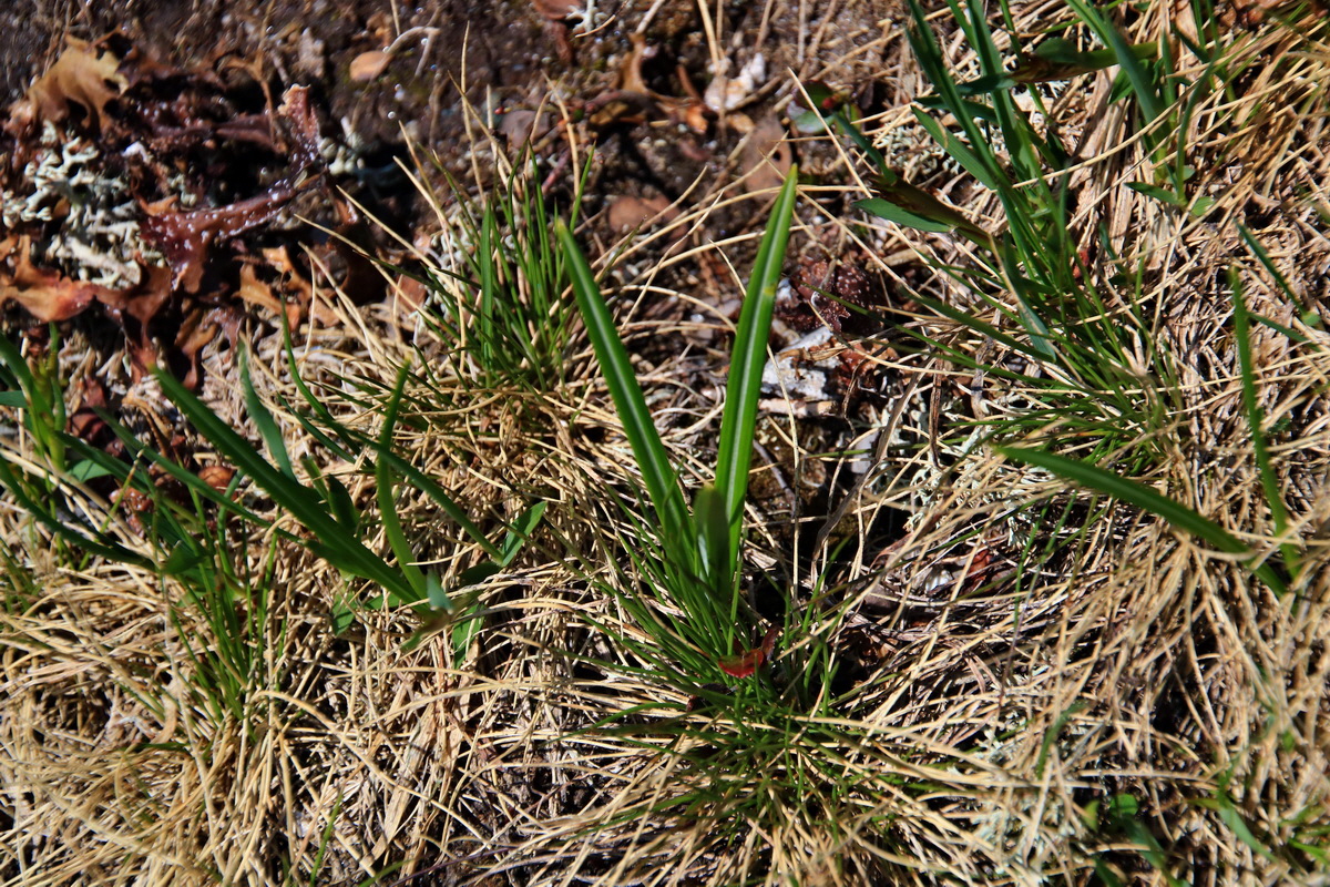 2015_06_12_002067p_Bildgr��e �ndern