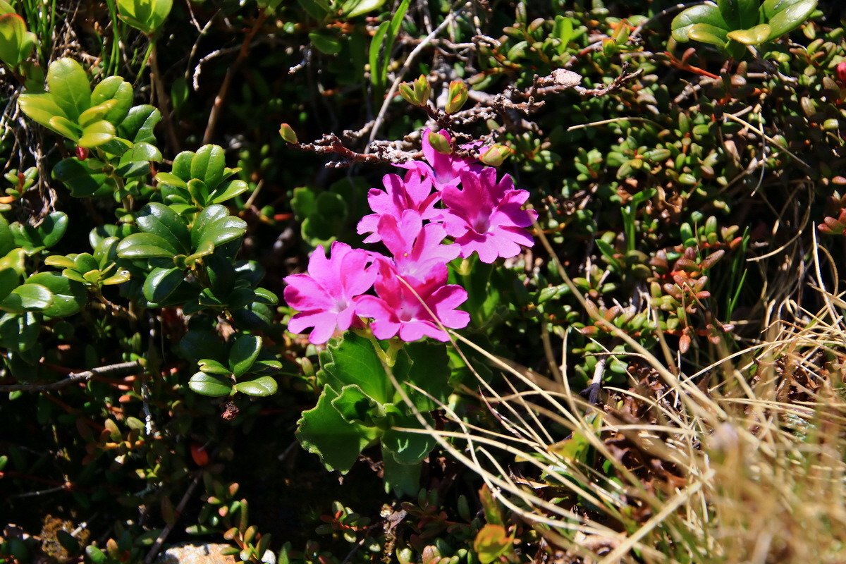 2015_06_12_002071p_Bildgr��e �ndern