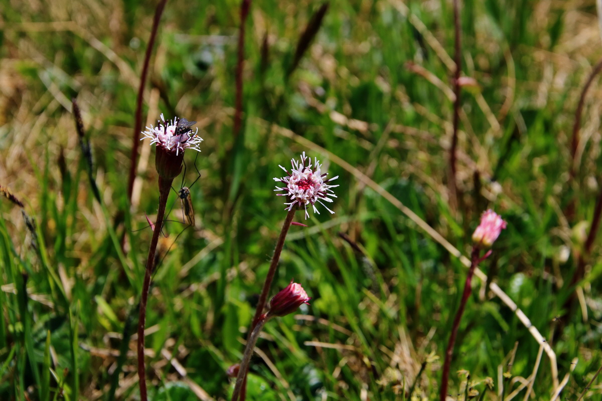 2015_06_12_002127p_Bildgr��e �ndern