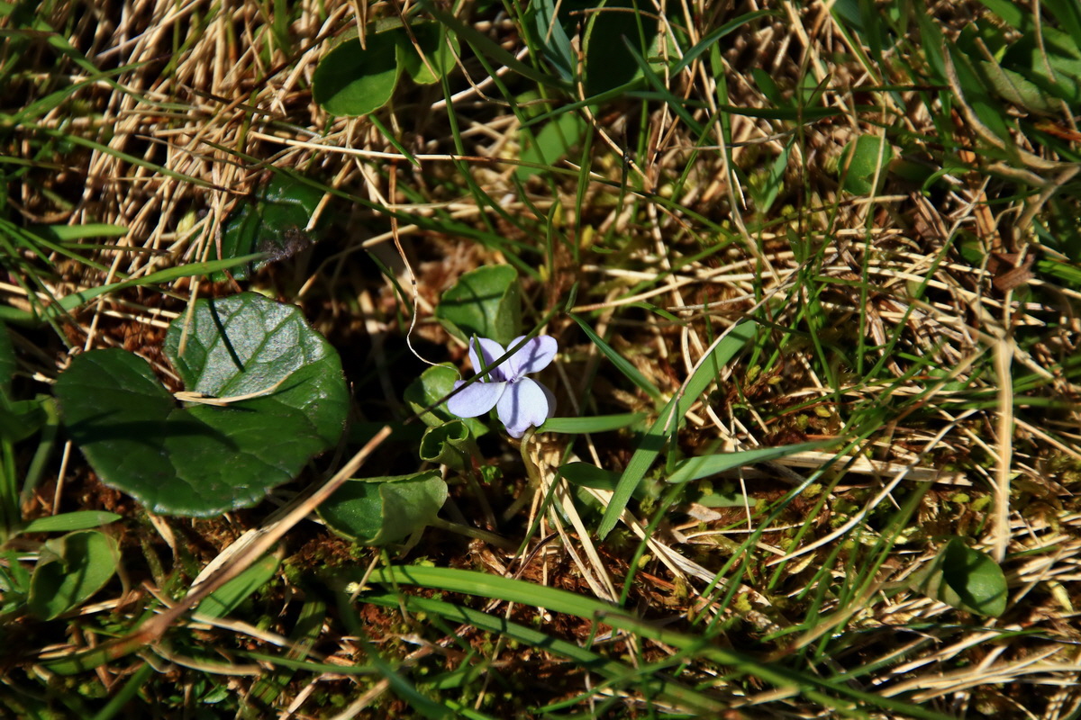 2015_06_12_002130p_Bildgr��e �ndern