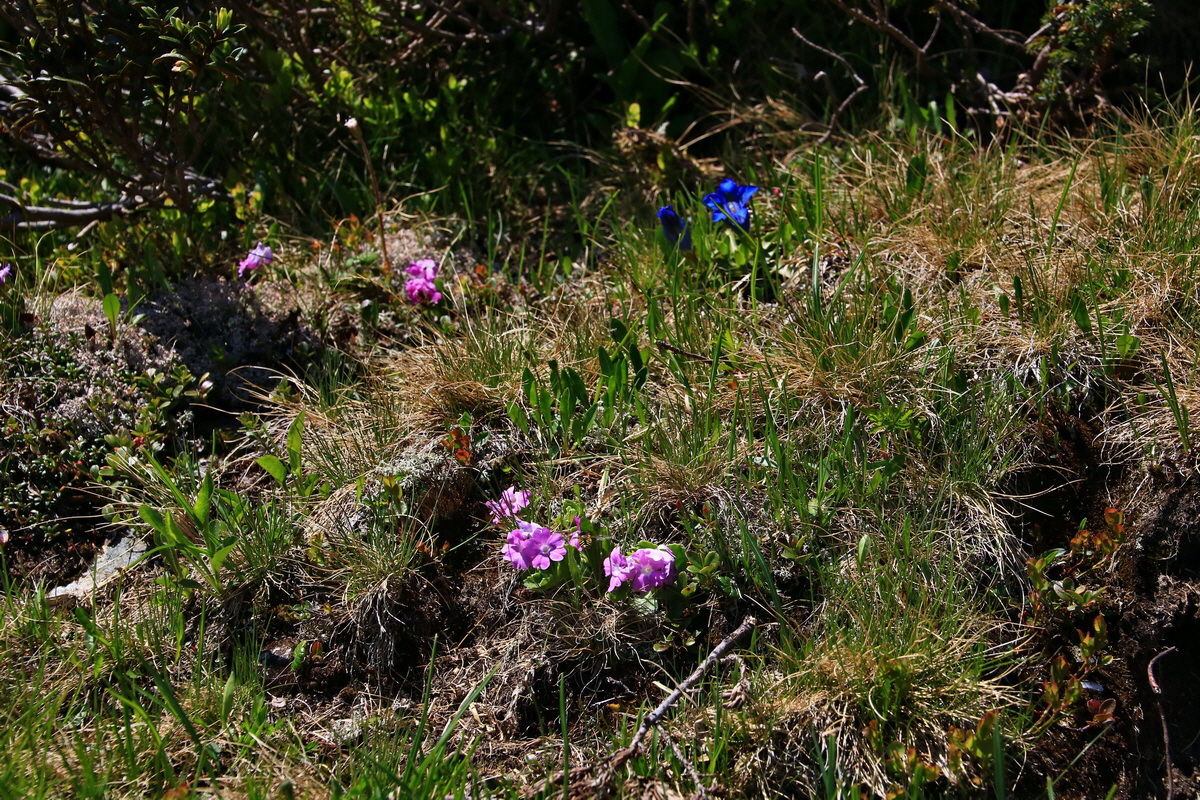 2015_06_12_002135p_Bildgr��e �ndern