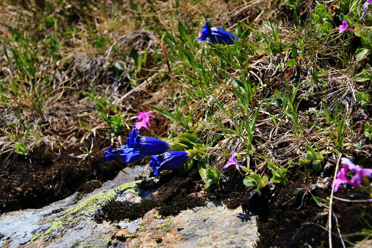 2015_06_12_002137p_Bildgr��e �ndern