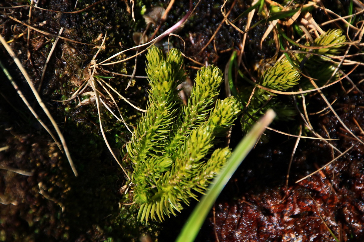 2015_06_12_002161p_Bildgr��e �ndern