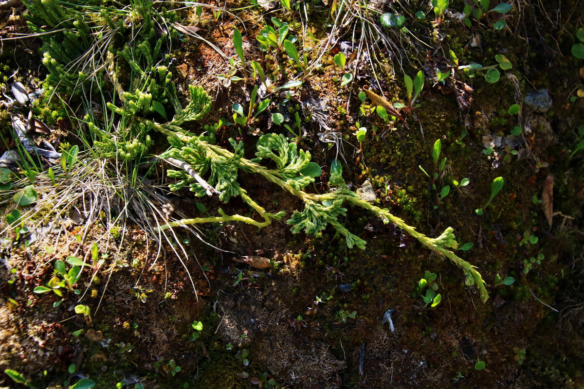 2015_06_12_002163p_Bildgr��e �ndern