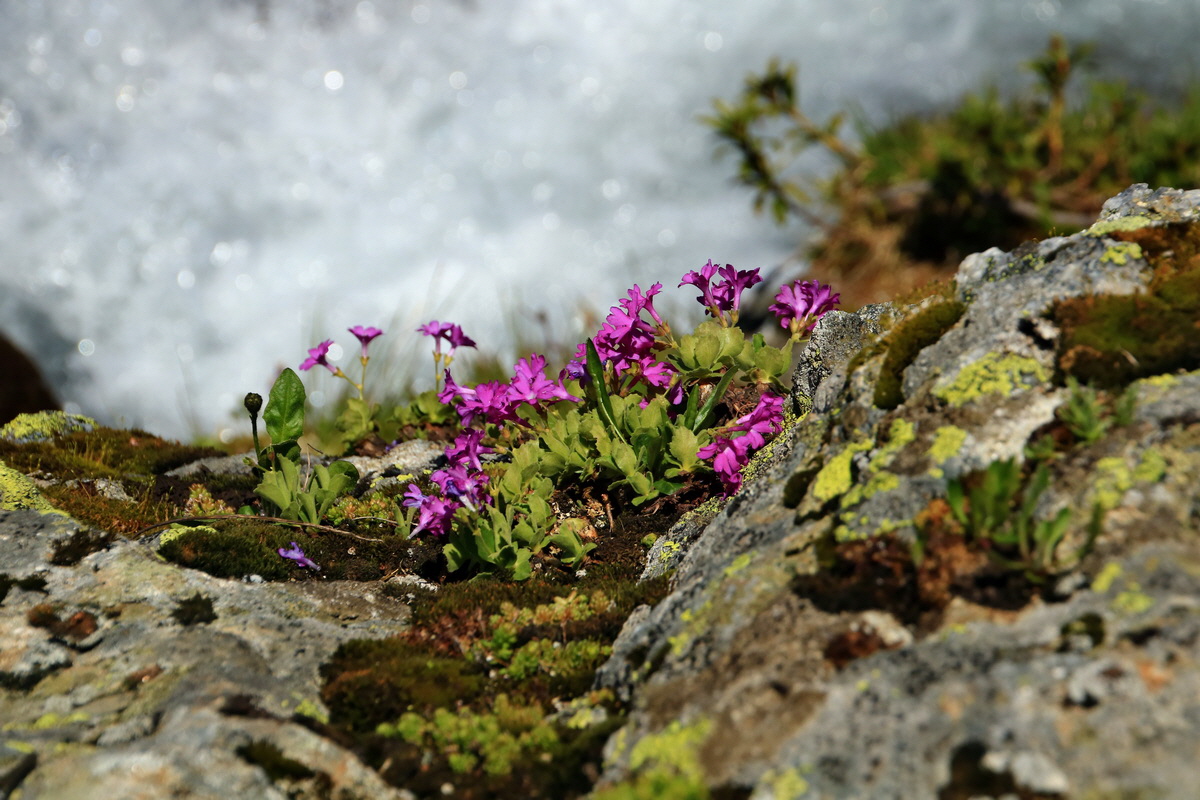 2015_06_12_002170p_Bildgr��e �ndern