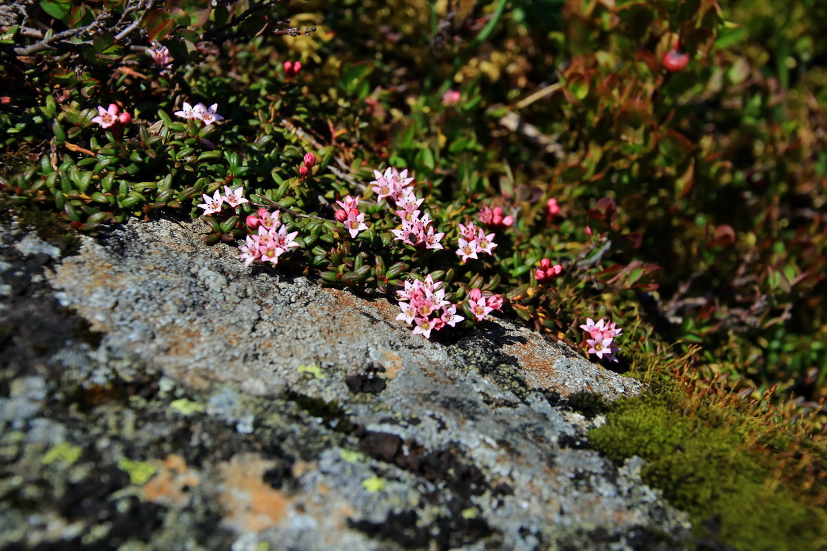 2015_06_12_002178p_Bildgr��e �ndern